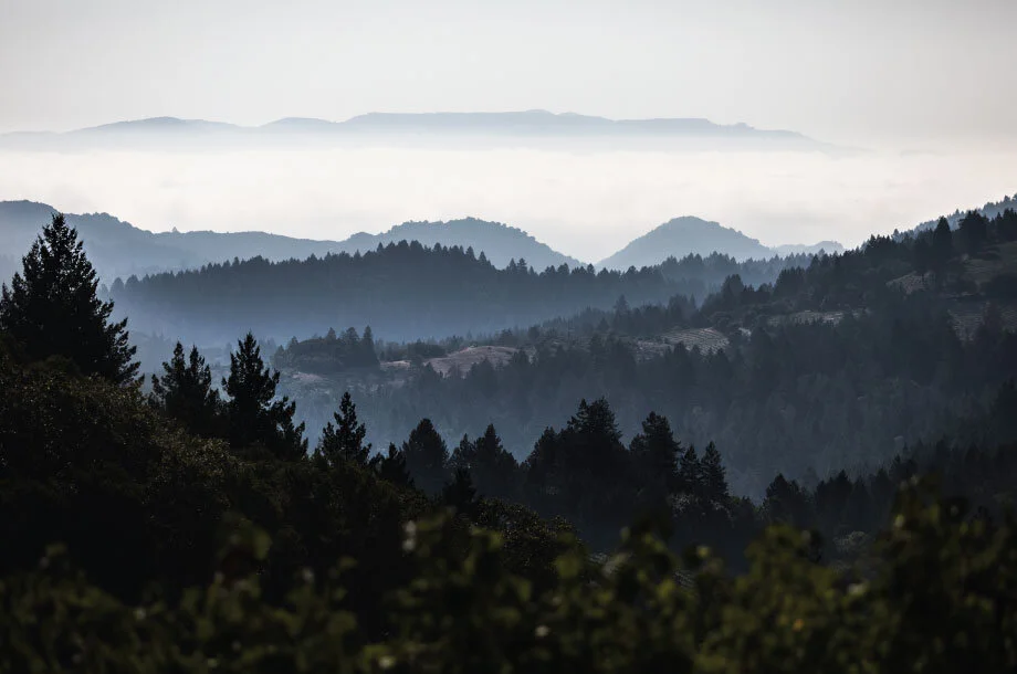 Mt-veeder-2.jpg