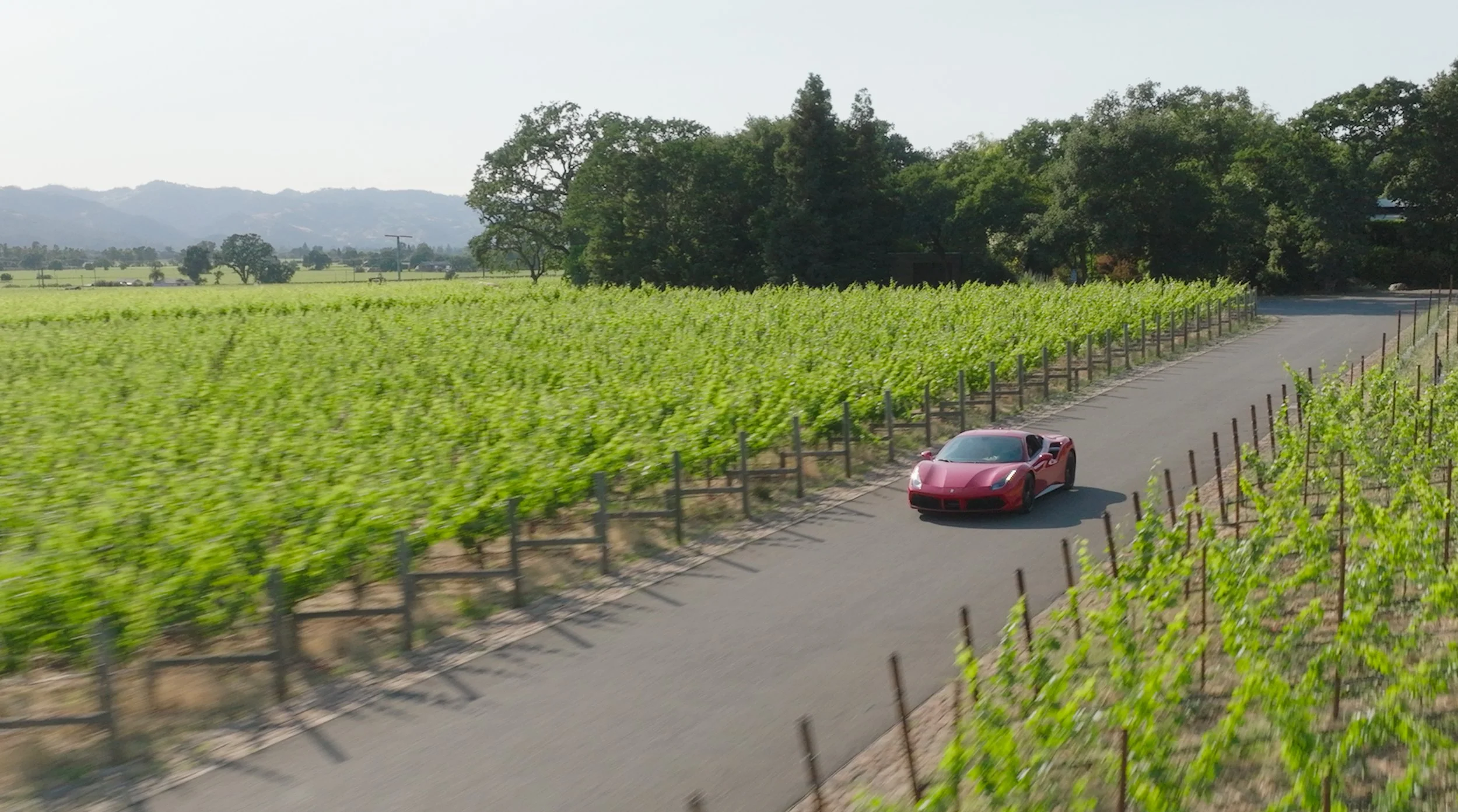 Napa_ScreenGrabs_June_2023-17.jpg