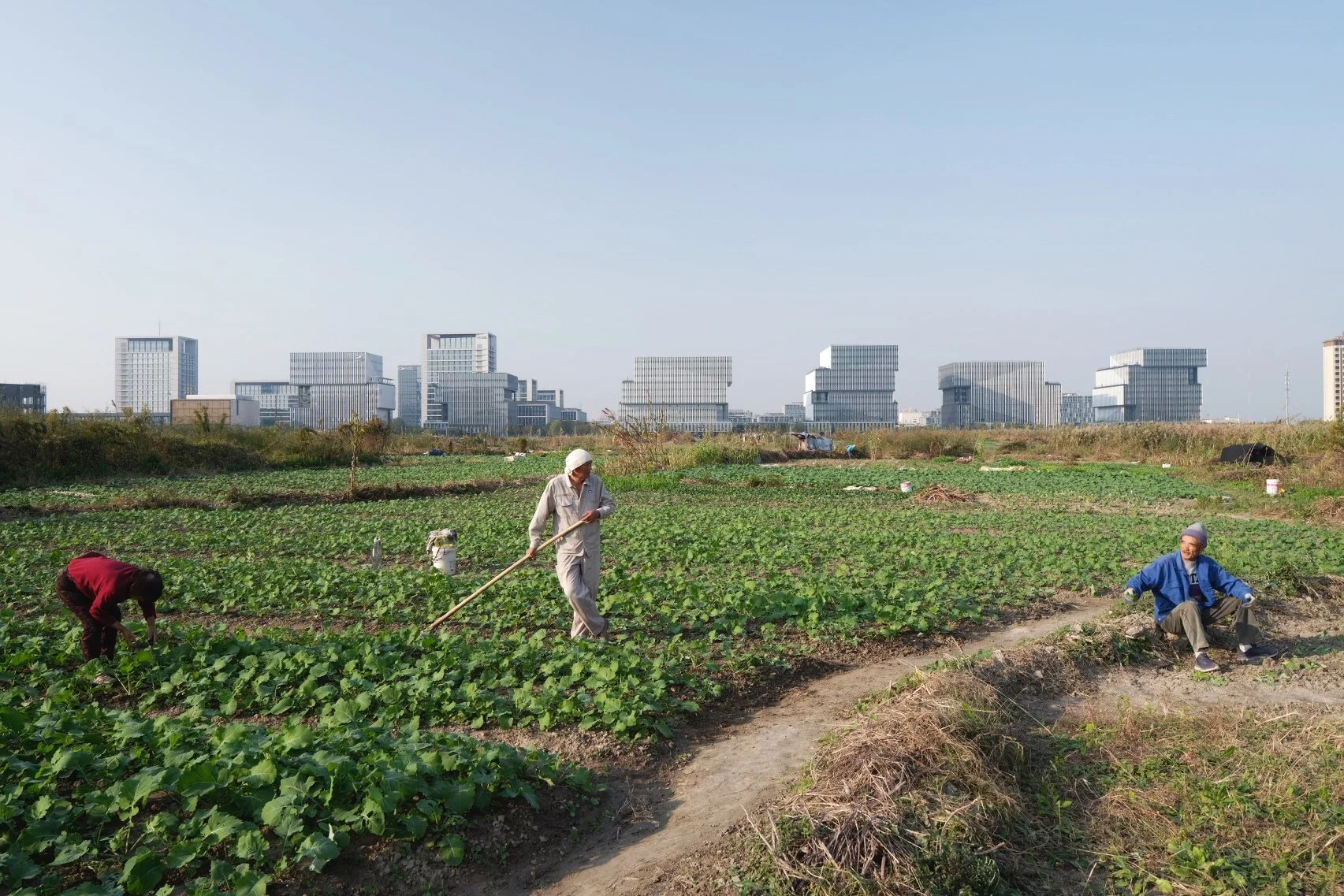 Weixin Image_20240127215604.jpg