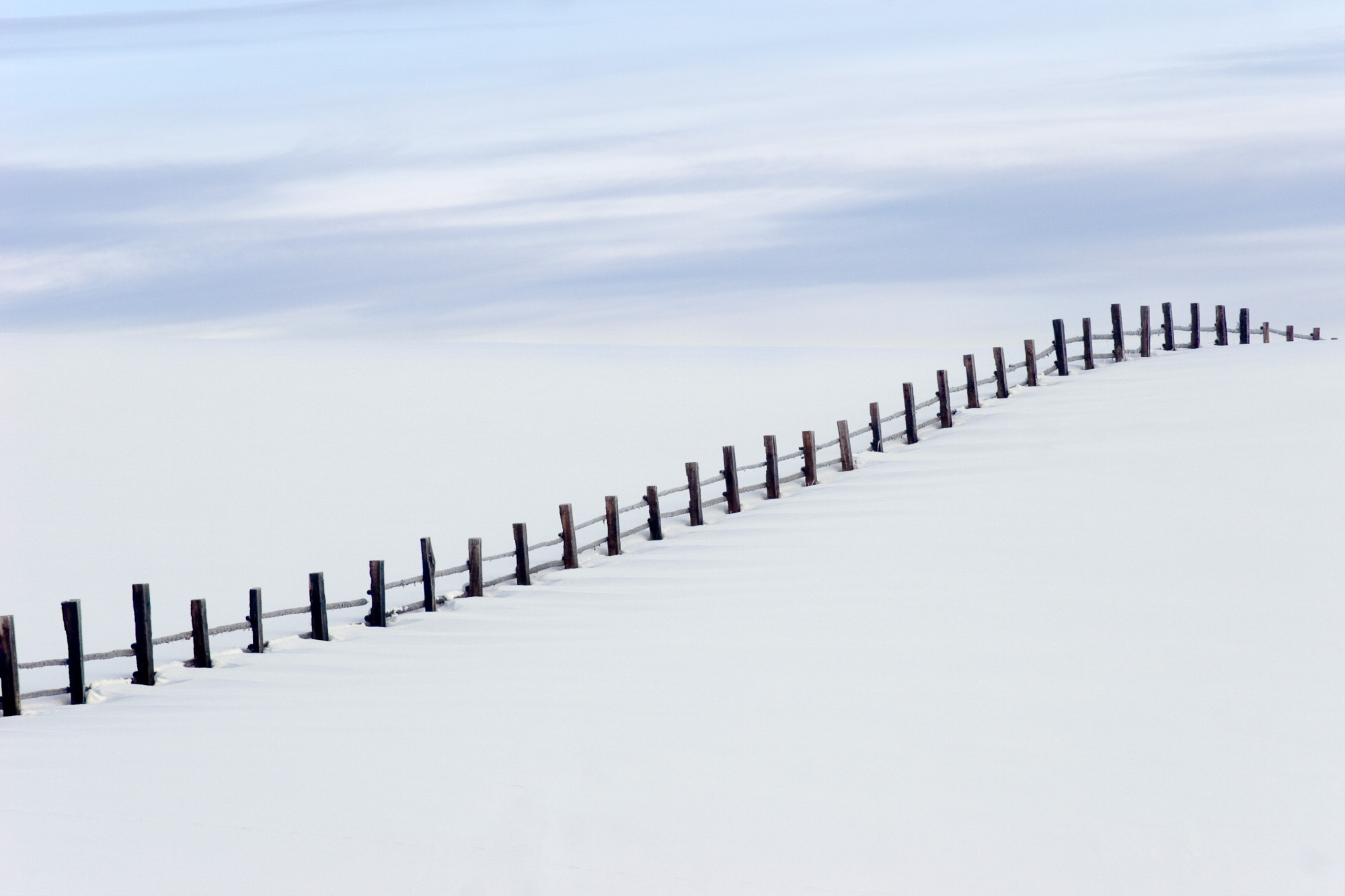 Winter Fenceline
