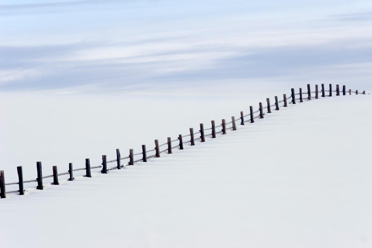 Winter Fenceline Master.jpg