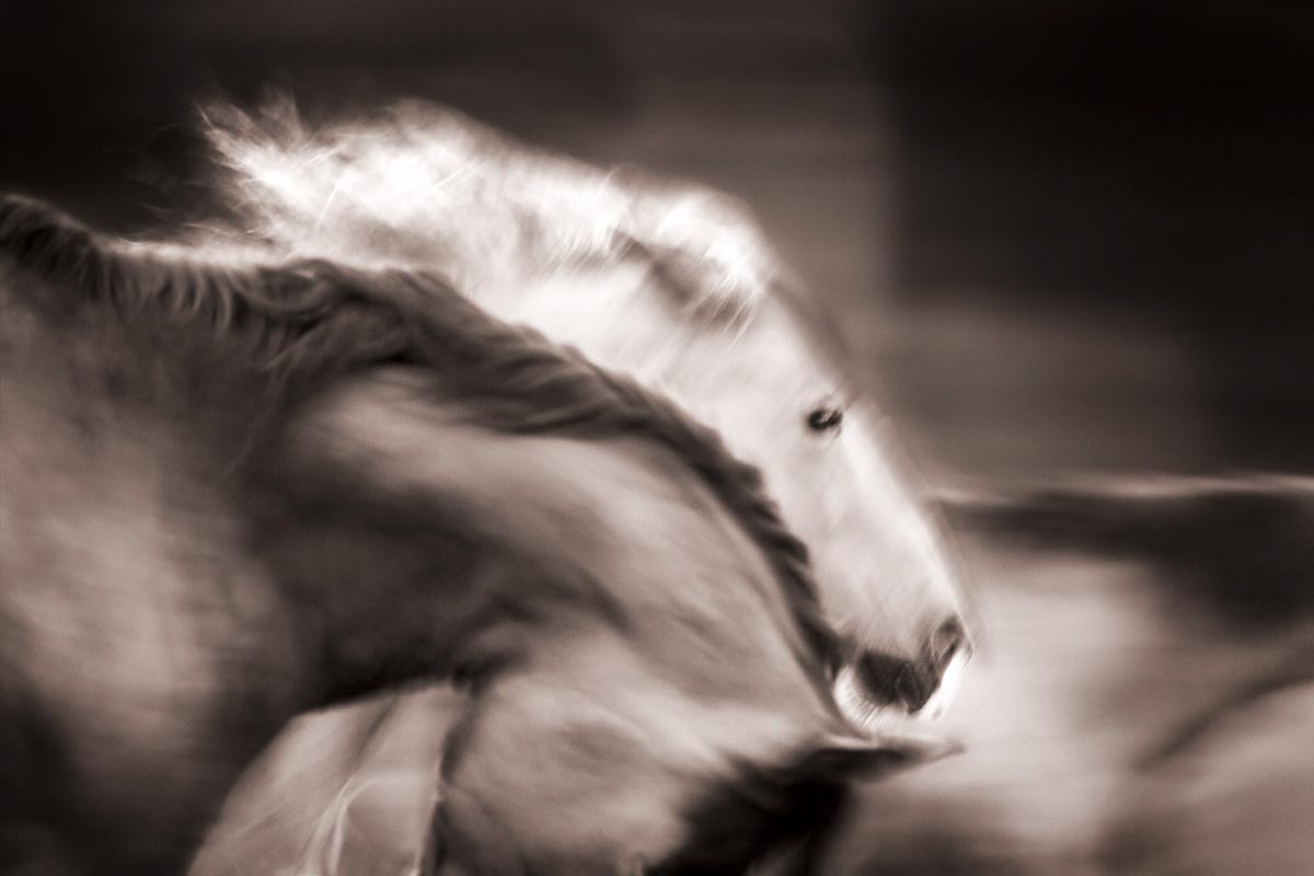 “There’s nothing worse than a sharp picture of a fuzzy concept.” -Ansel Adams