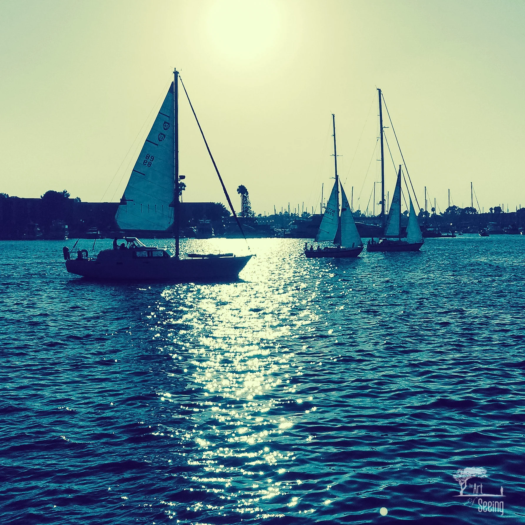 20150822-IMG_3103 master_2K.jpg