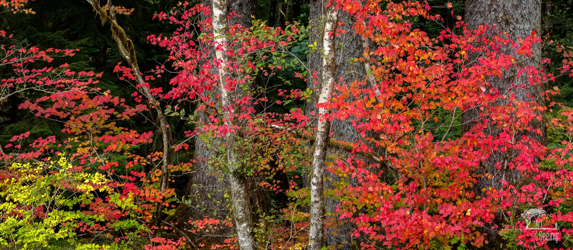 20171014-0011-Pano master_2K.jpg