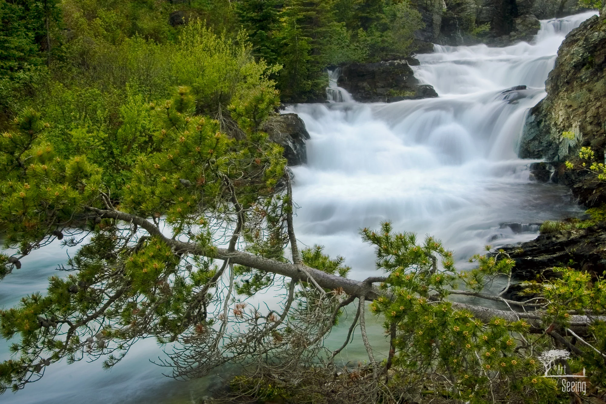 Fallen Pine Creek01 Crop1 Master_2K.jpg