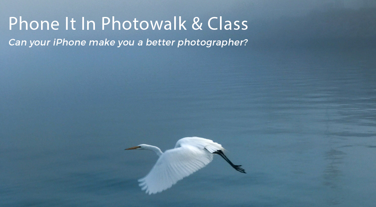 Photowalk.png