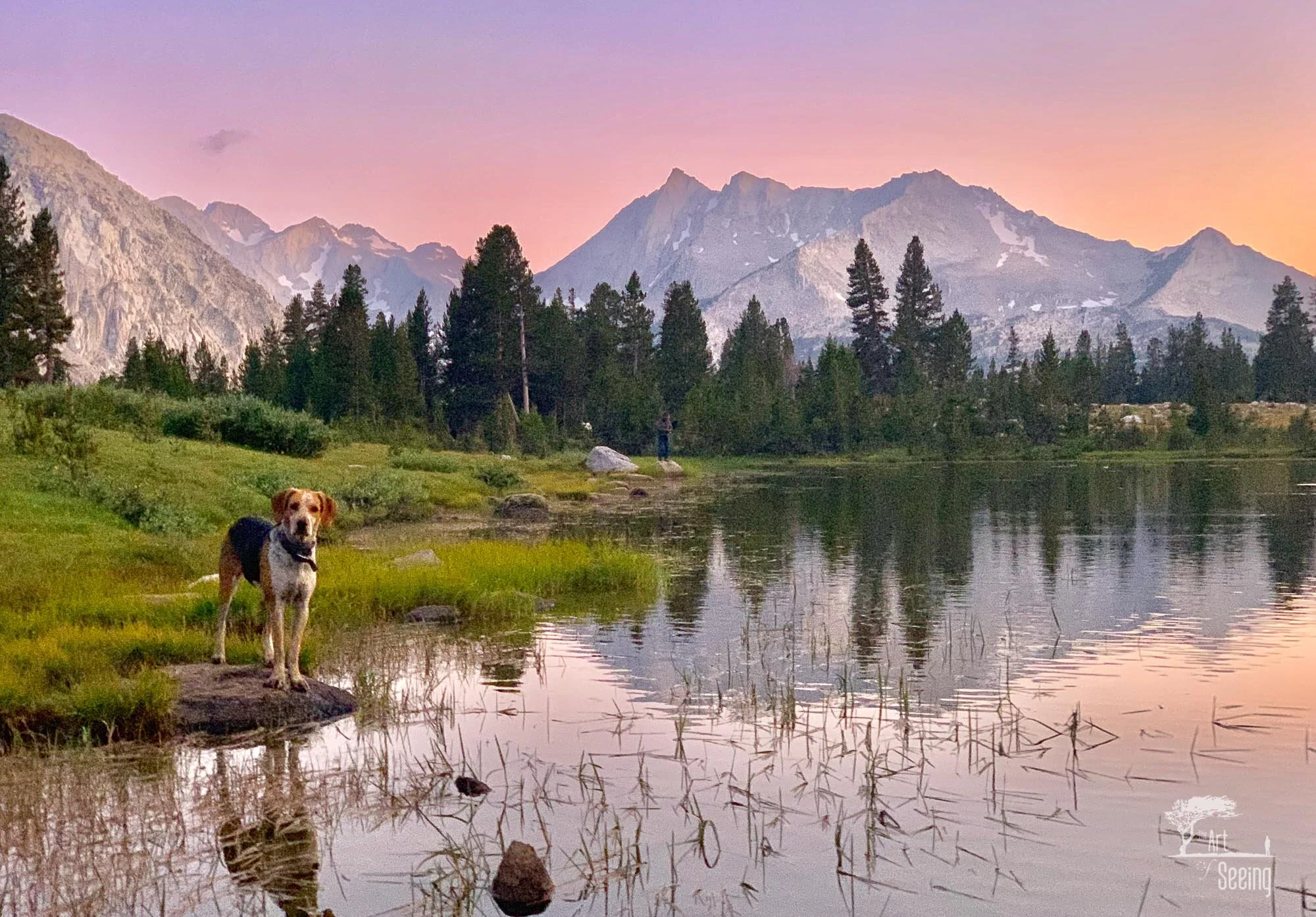 High Sierra Gallery