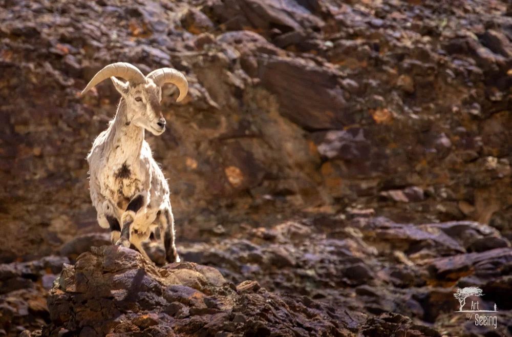 20180706-0849 -2 master.jpg