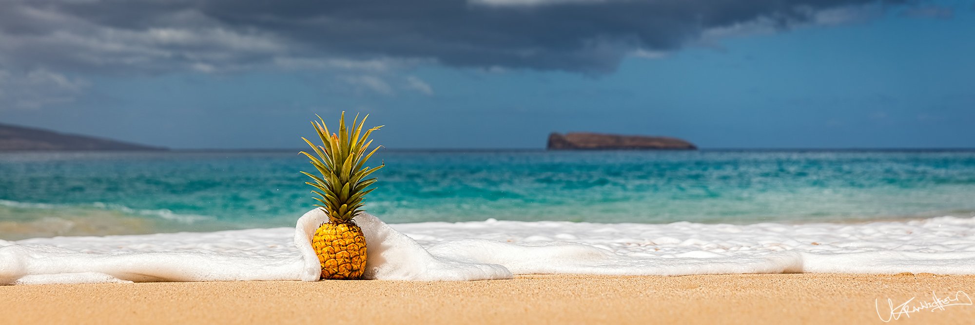 Pineapple in a blanket.jpg