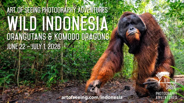 Indonesia+2026+Social+Image-2+(1).webp