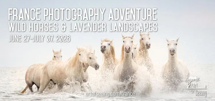 South+of+France+Social+image+01.webp