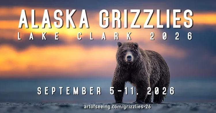 Lake+Clark+2026+Social+Image-1+.webp