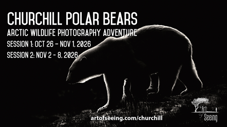 2026+Churchill+Social+Image.webp