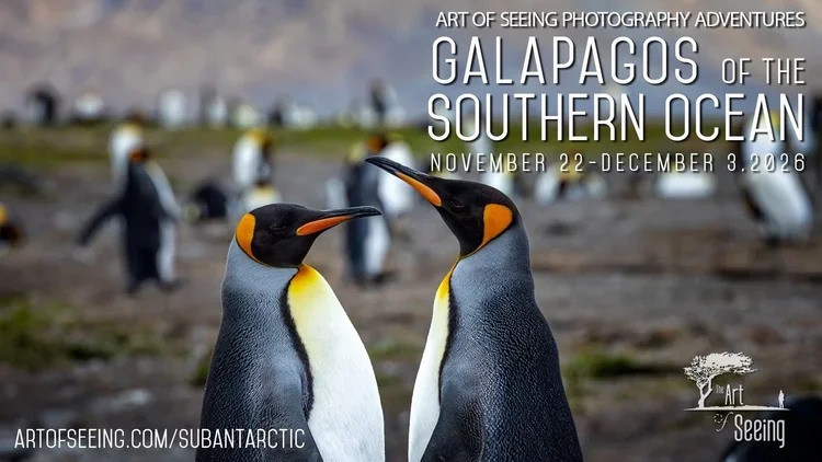 Subantartic+1.webp