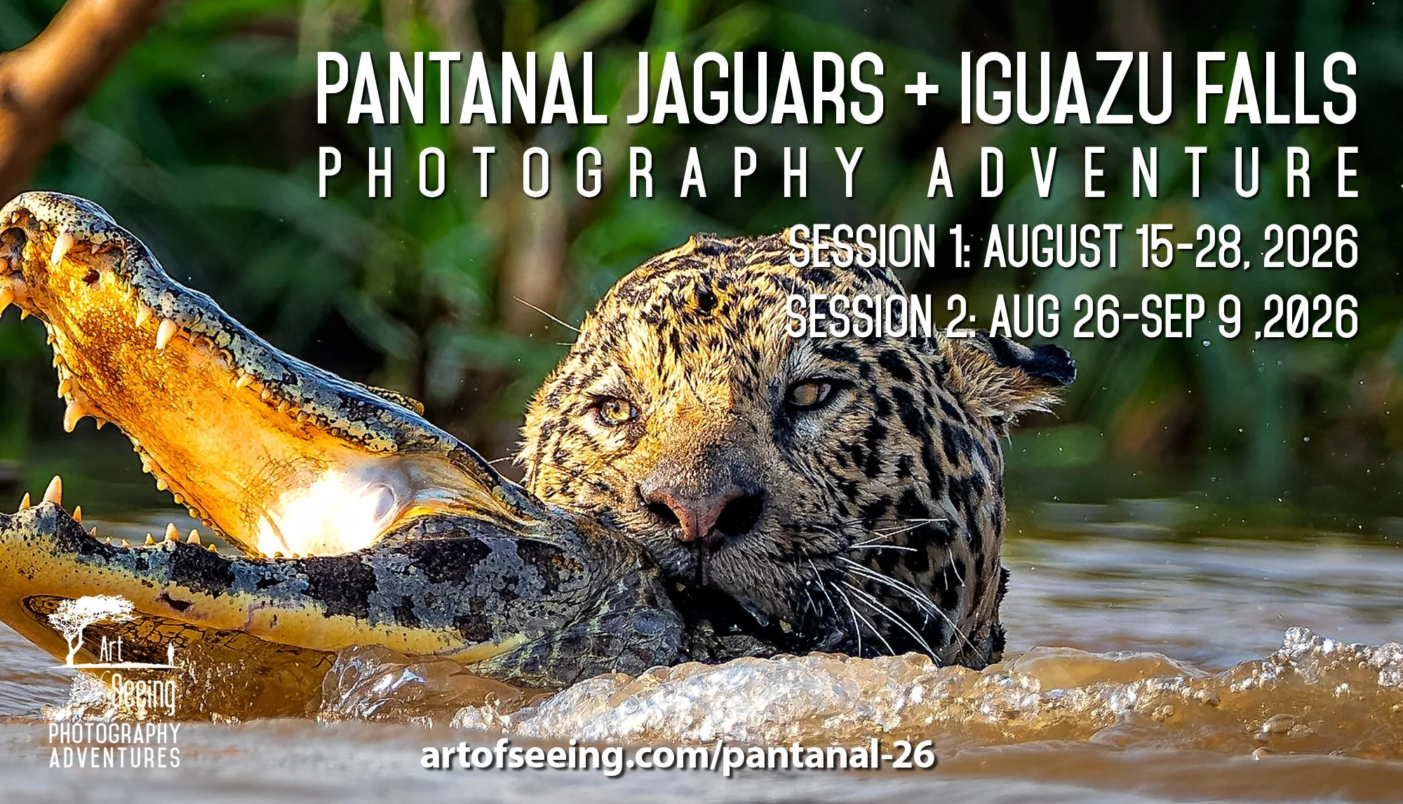 Pantanal Jaguars + Iguazu Falls By Moonlight 2026