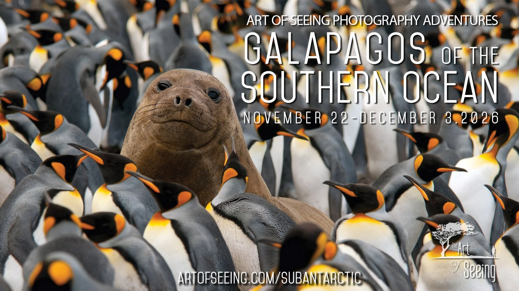 Galapagos of the south-8 (5).jpg