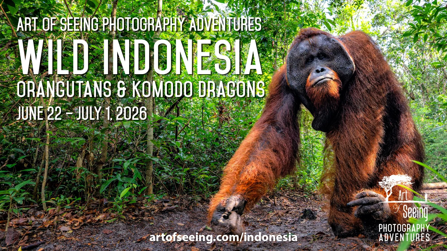 Indonesia 2026 Social Image-2 (3).jpg