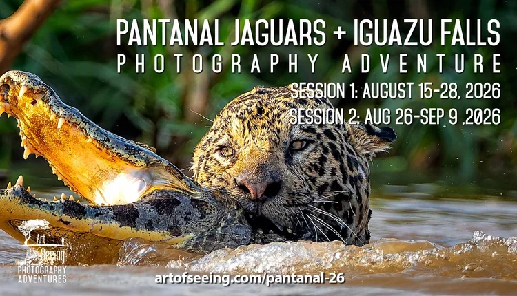 Pantanal+26+Social+Image-+UPDATED+SECOND+SESSION+ADDED_.webp