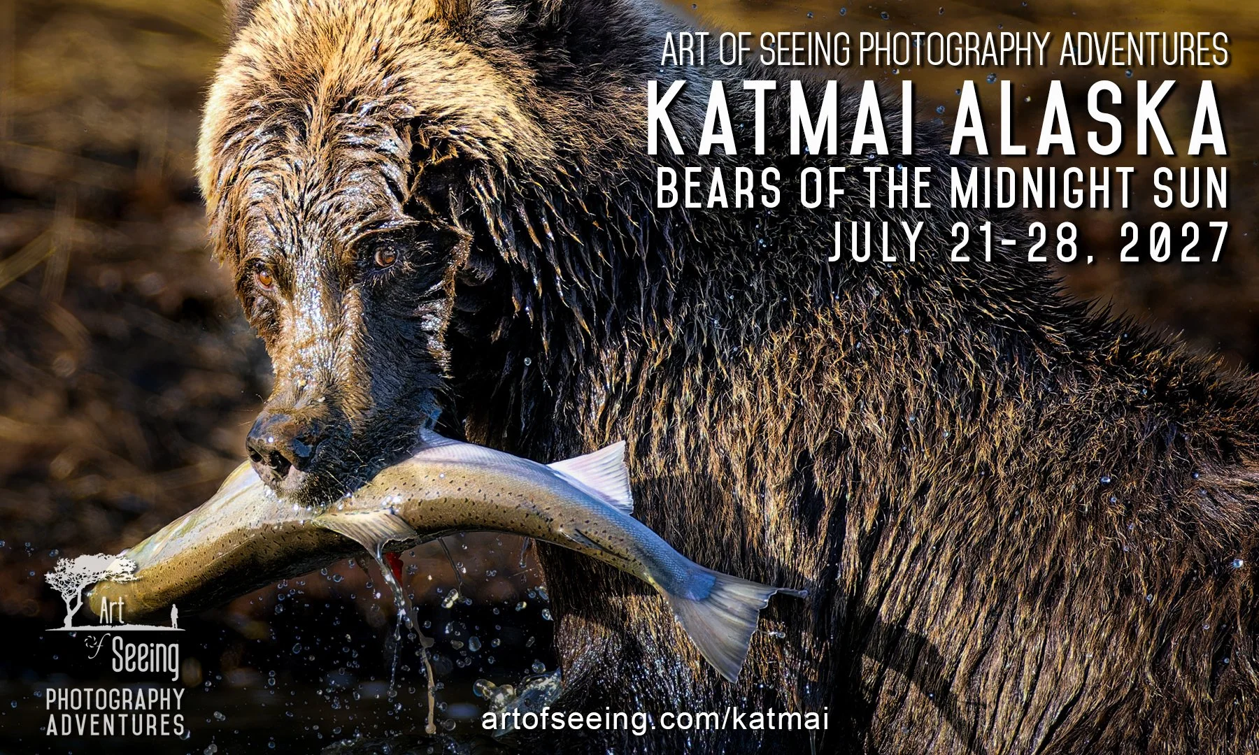 Katmai Alaska 2027: Bears of the Midnight Sun