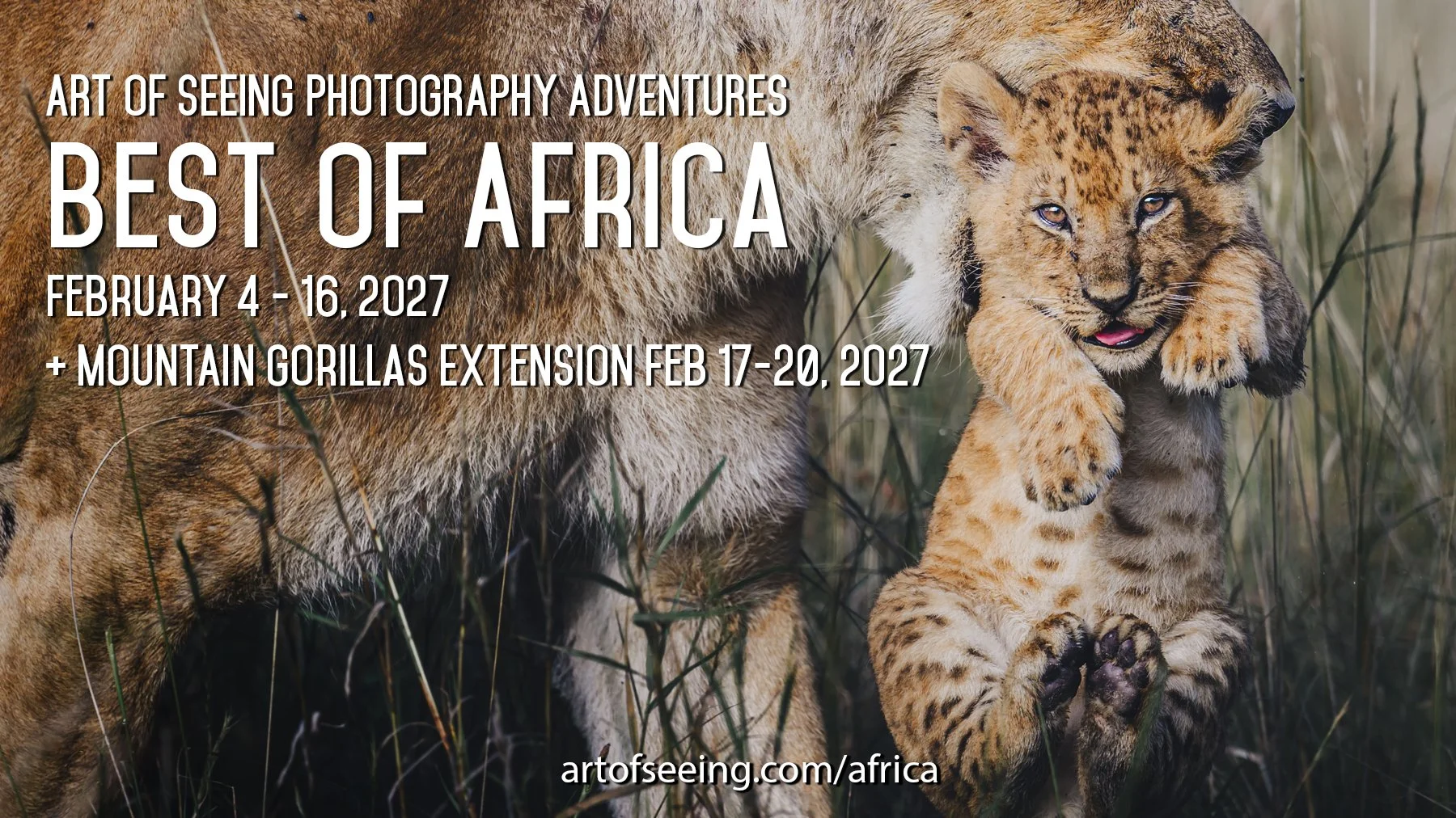 Best of Africa 2027 Social Image-2.jpg