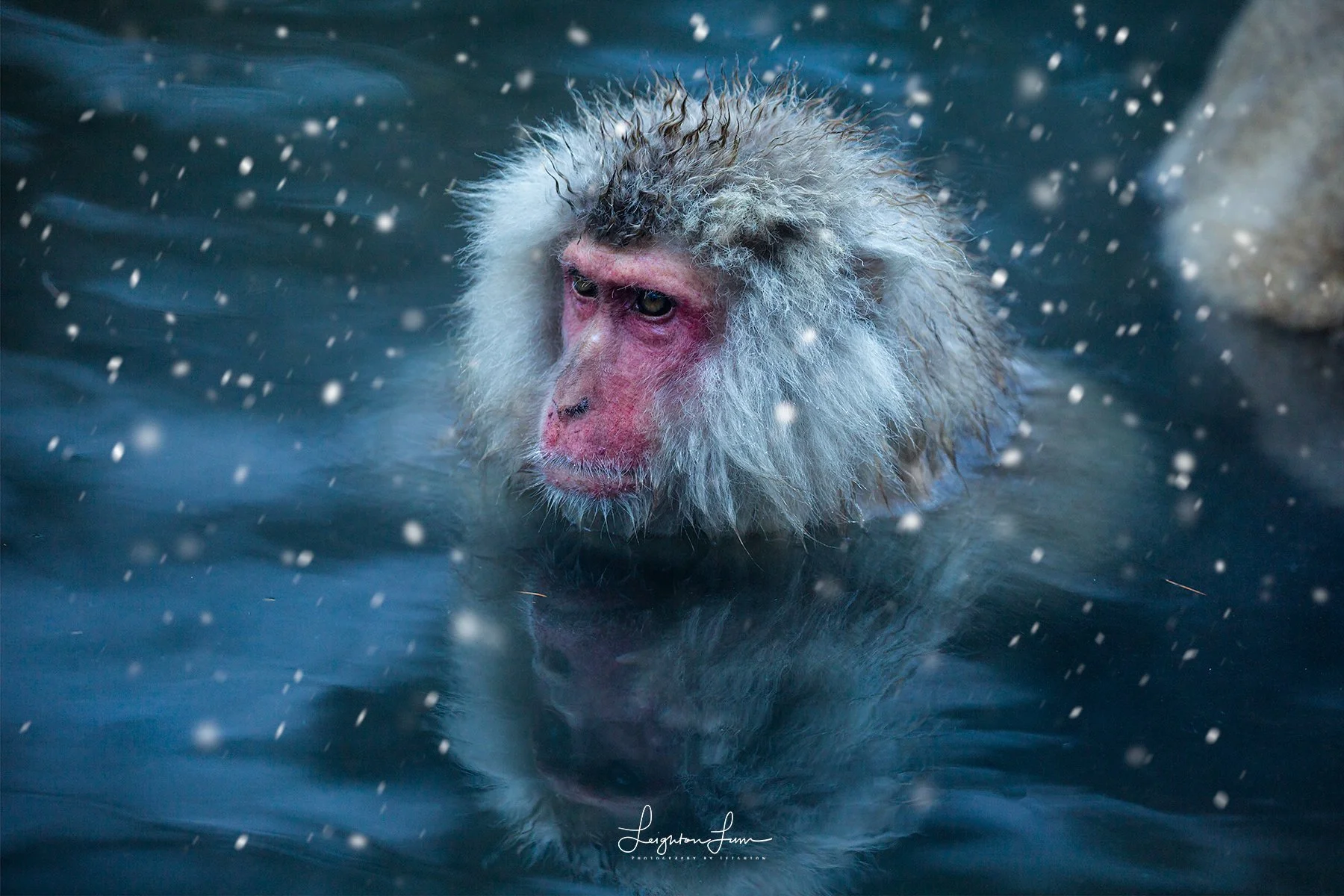 Hot Bath with snow.jpg