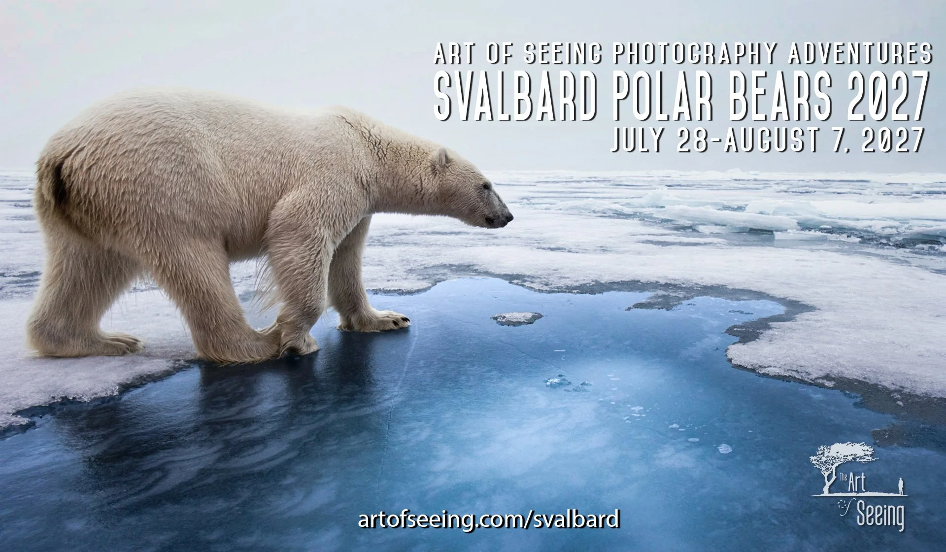 Svalbard 2027 Horizontal Social Image-2.jpg