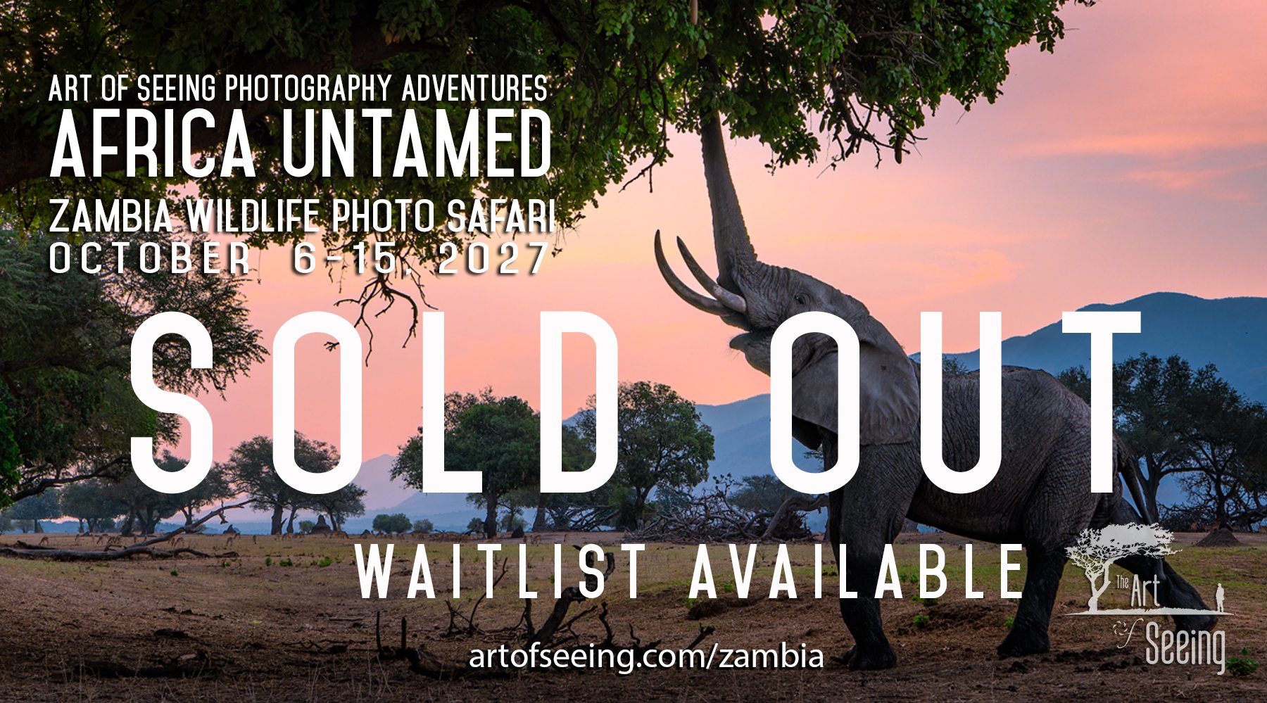 Africa Untamed: Zambia Wildlife Photo Safari