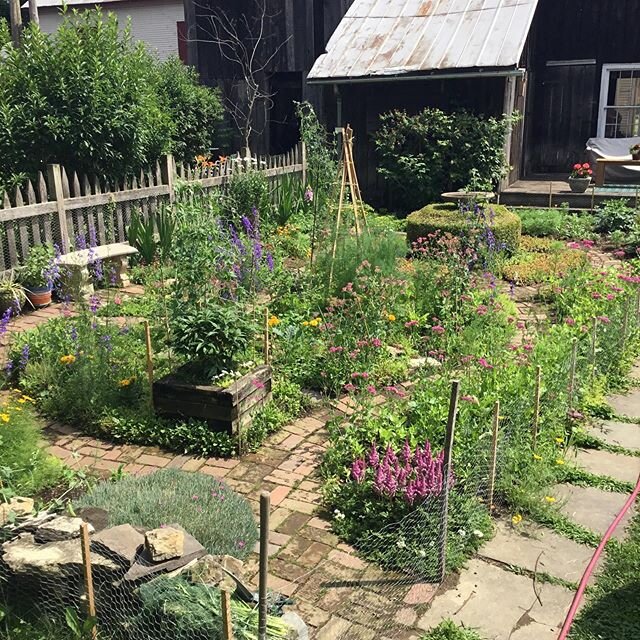 Three months at home and all the Kellys have to show for it is this lovely garden.