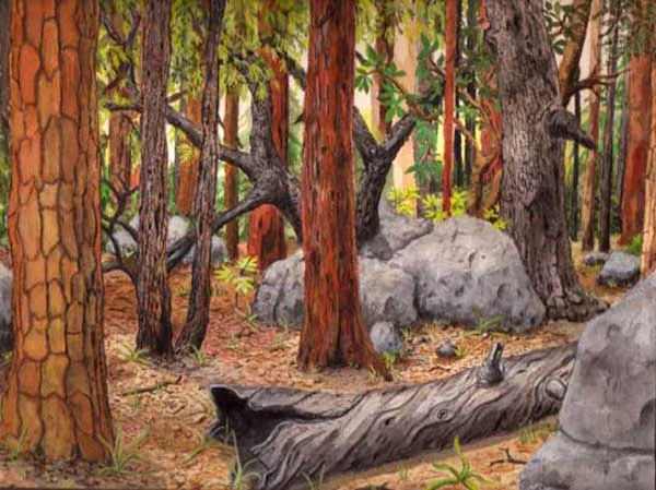 yosemite.jpg