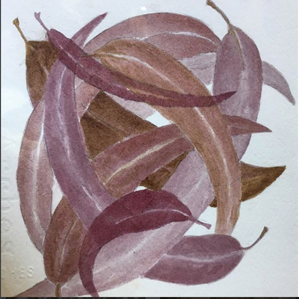 eucalyptus-pile.png