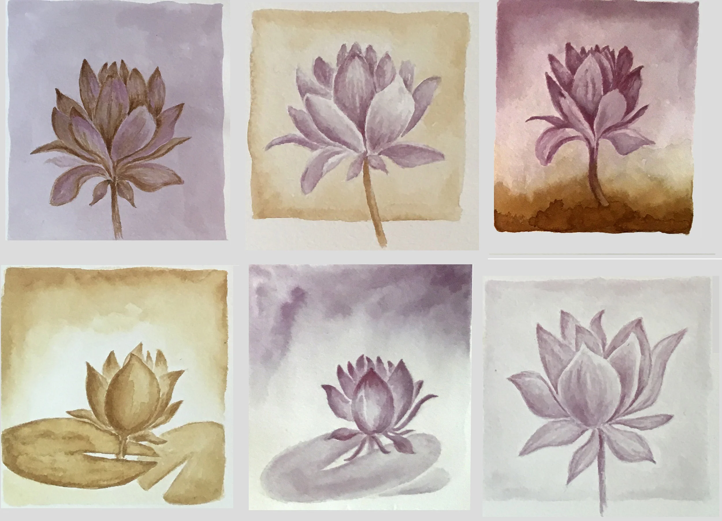 6lotus-crop.jpg