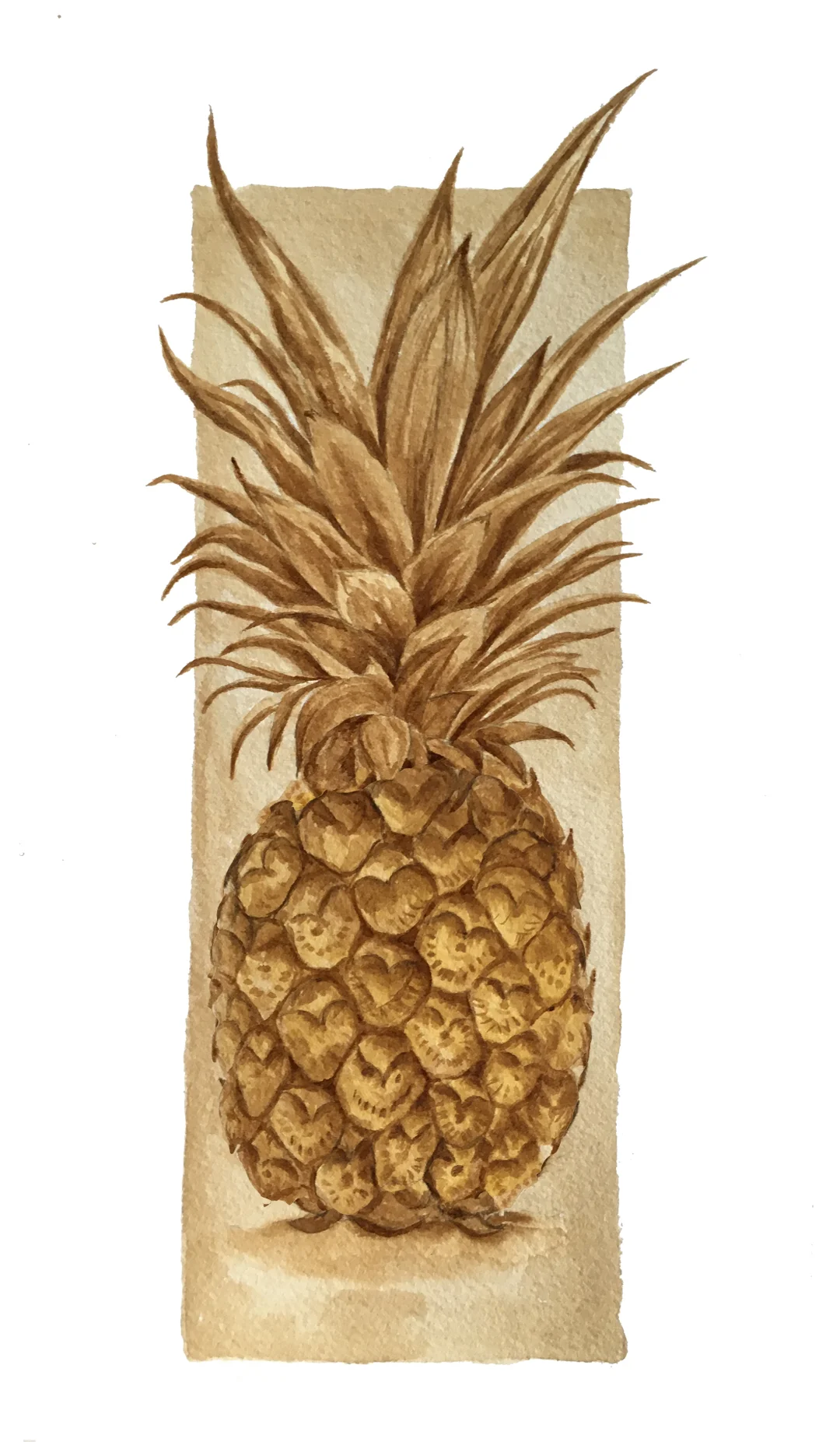 pineapple.jpg