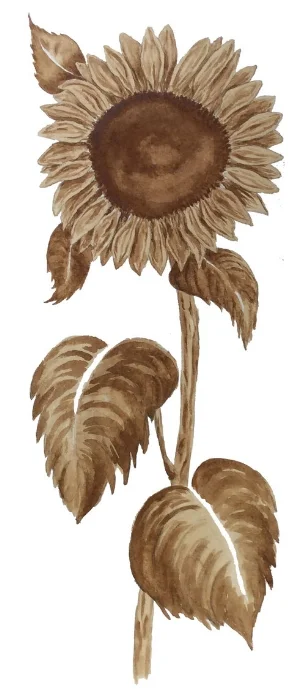 Big Sunflower