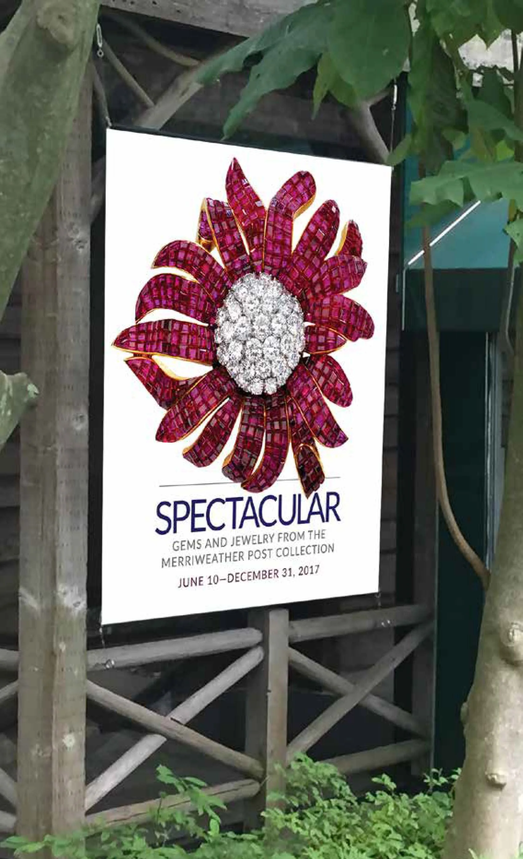 Adirondack banner.jpg