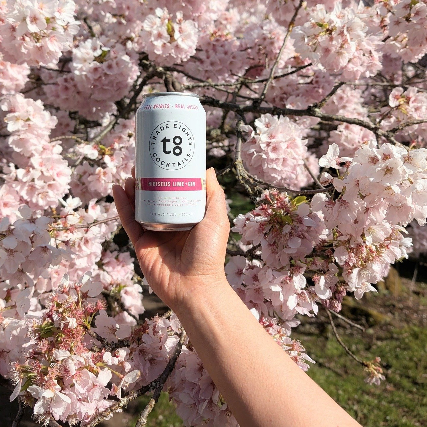 🌸 Spring in a can 🌸

Hibiscus, lime, and gin! It's bright, refreshing, and made for moments like this. Sip, savor, and let the flavor bloom. 🍃✨