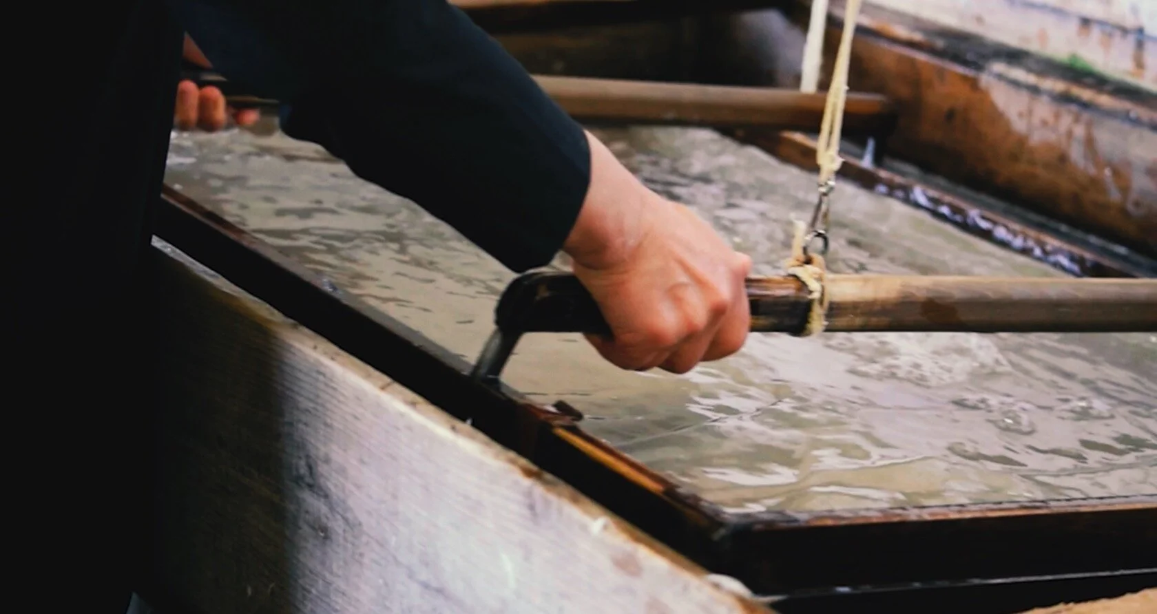 Screen Shot 2020-08-03 at 12.05.09 PM.jpg