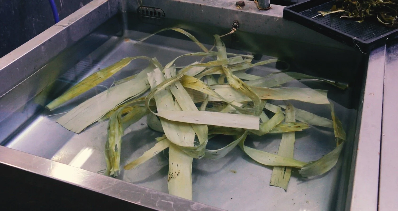 Screen Shot 2020-08-03 at 12.05.31 PM.jpg