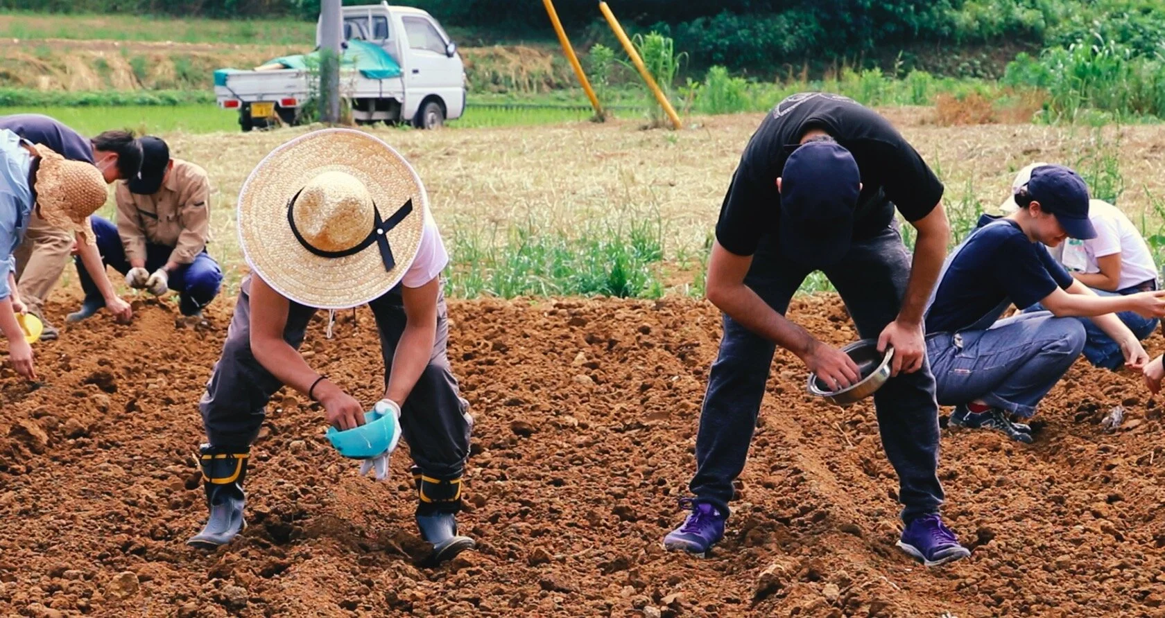 Screen Shot 2020-08-03 at 12.05.44 PM.jpg