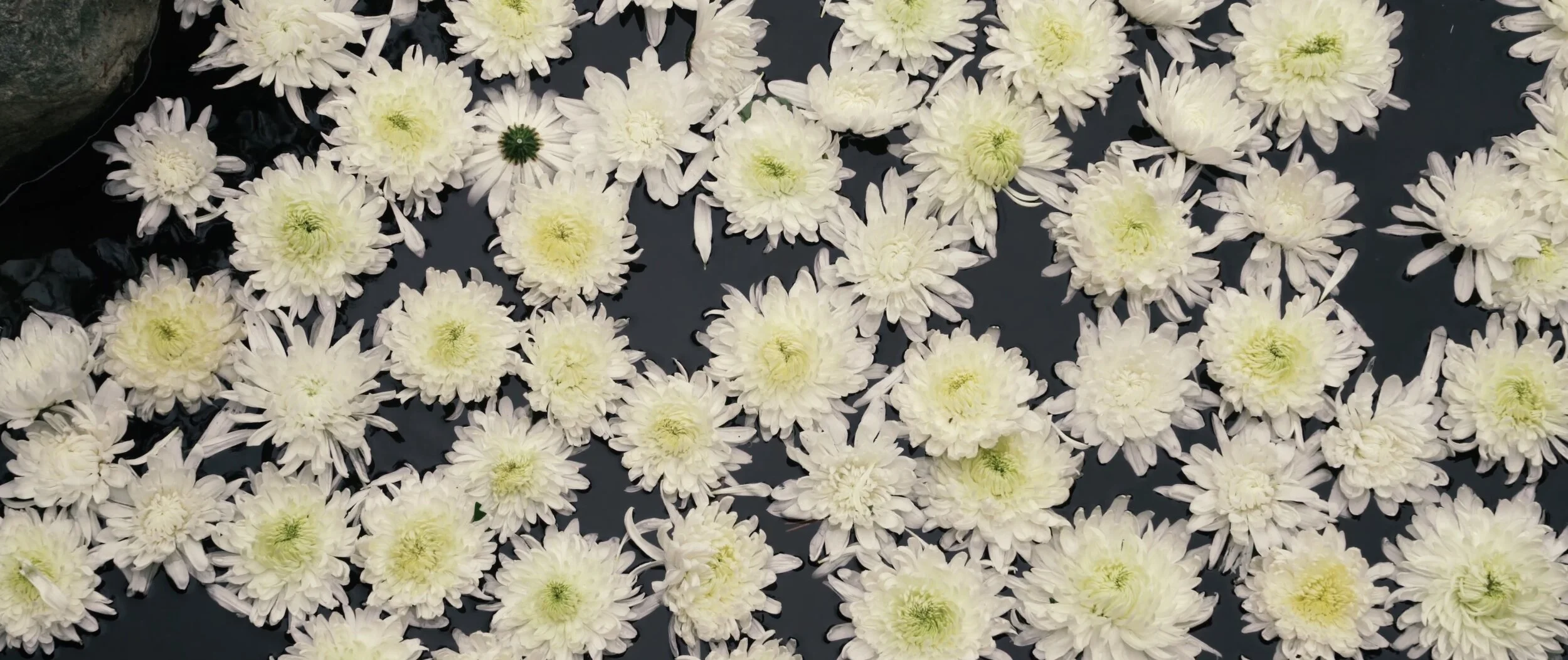 Screen Shot 2021-06-24 at 11.20.18 PM.jpg