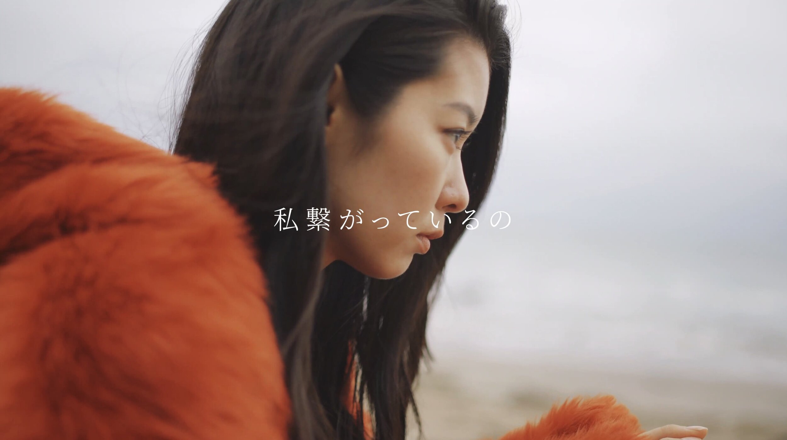 Screen Shot 2021-06-24 at 11.33.53 PM.jpg