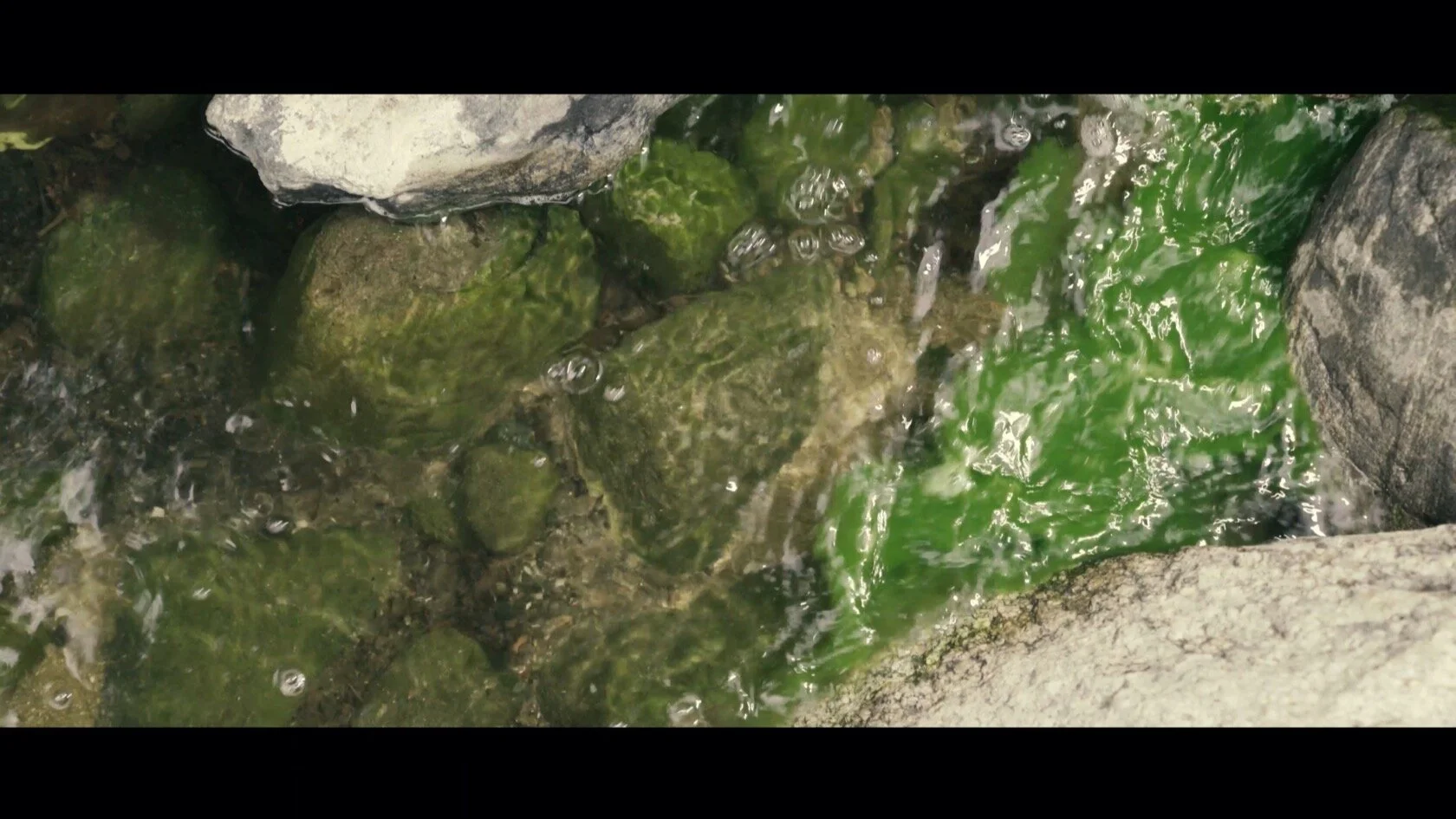 Screen Shot 2021-06-24 at 11.59.49 PM.jpg