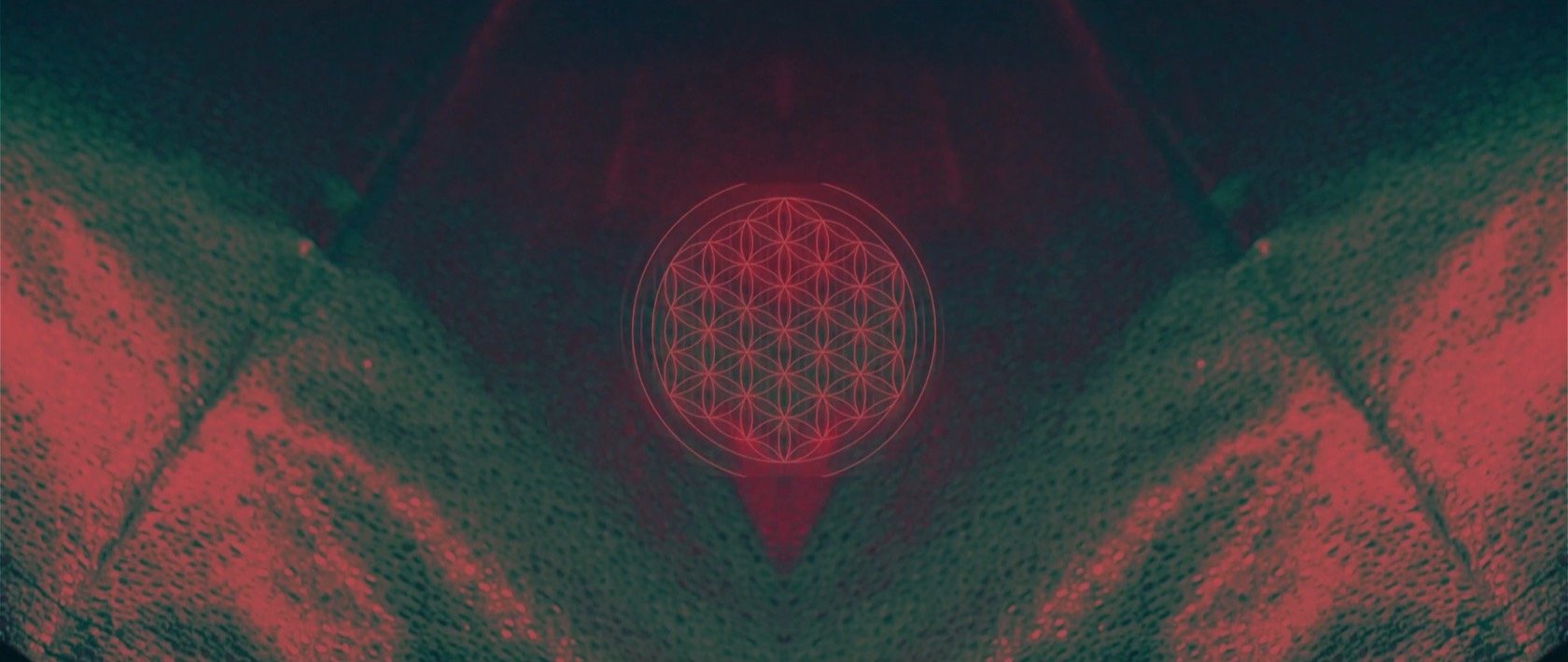 Screen Shot 2022-02-10 at 5.22.43 PM.jpg