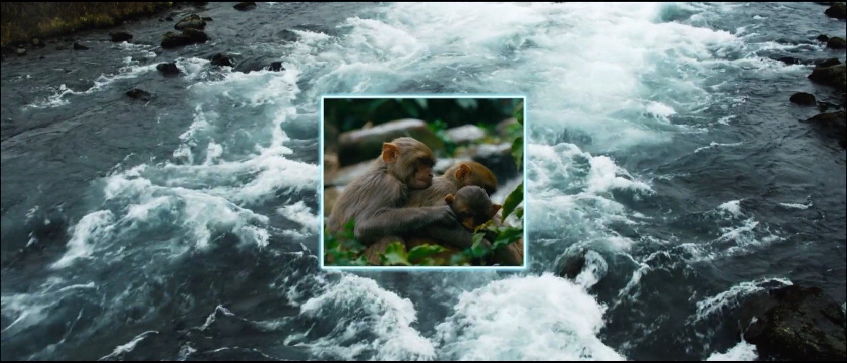 Screen Shot 2022-02-10 at 5.13.42 PM.jpg