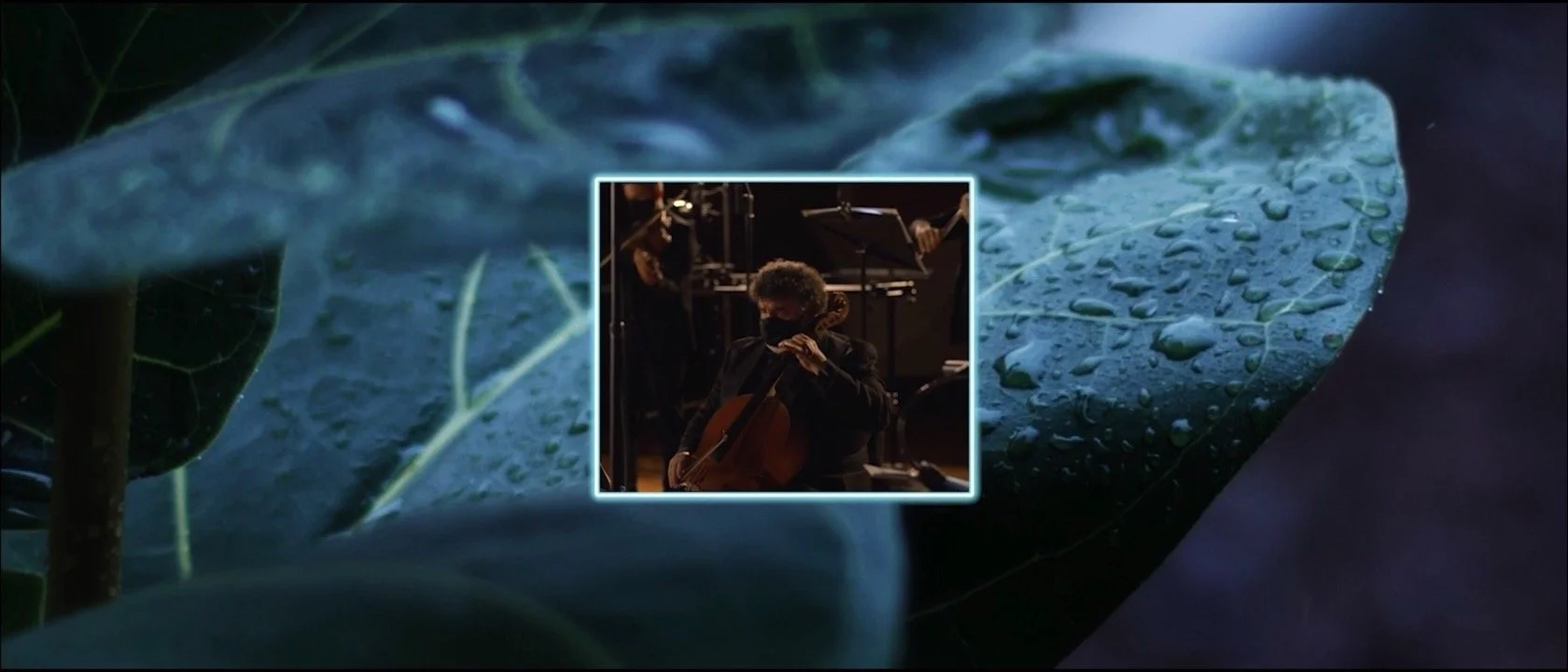 Screen Shot 2022-02-10 at 5.13.43 PM.jpg