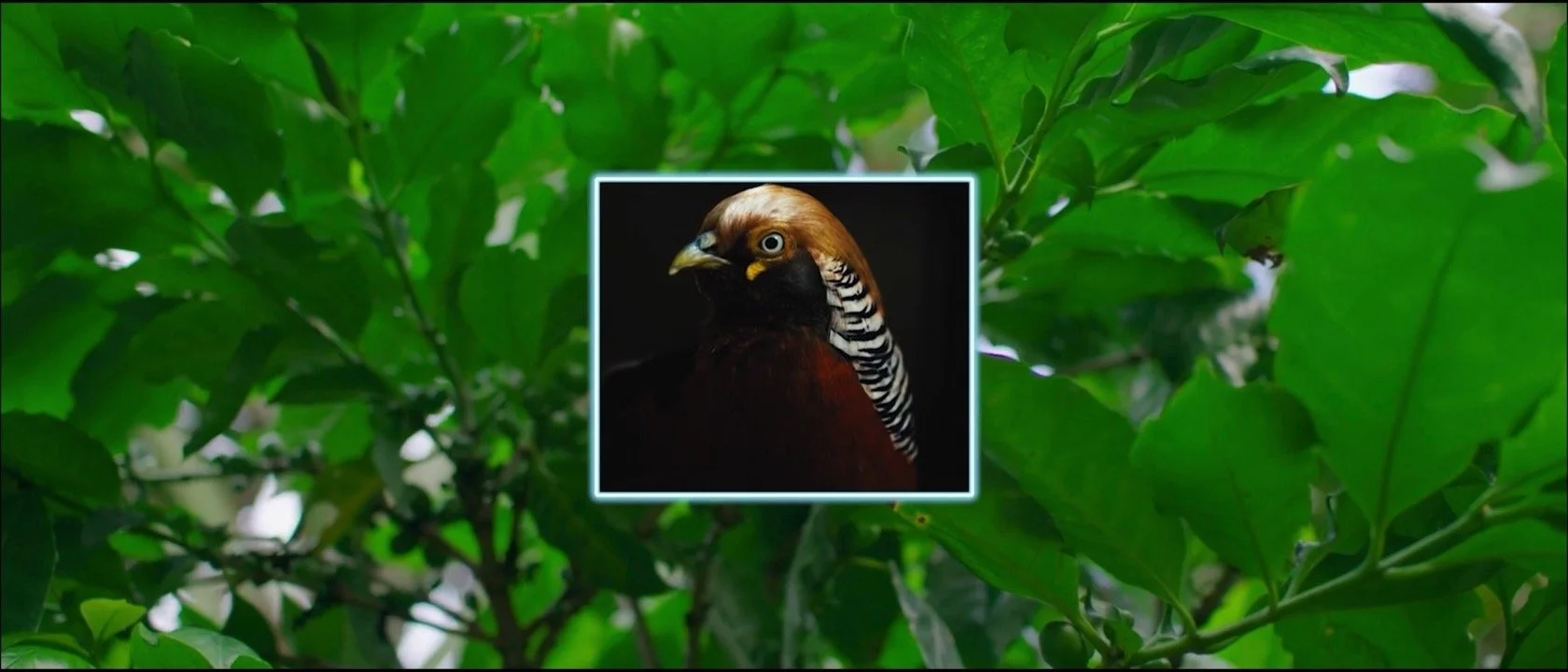 Screen Shot 2022-02-10 at 5.13.46 PM.jpg