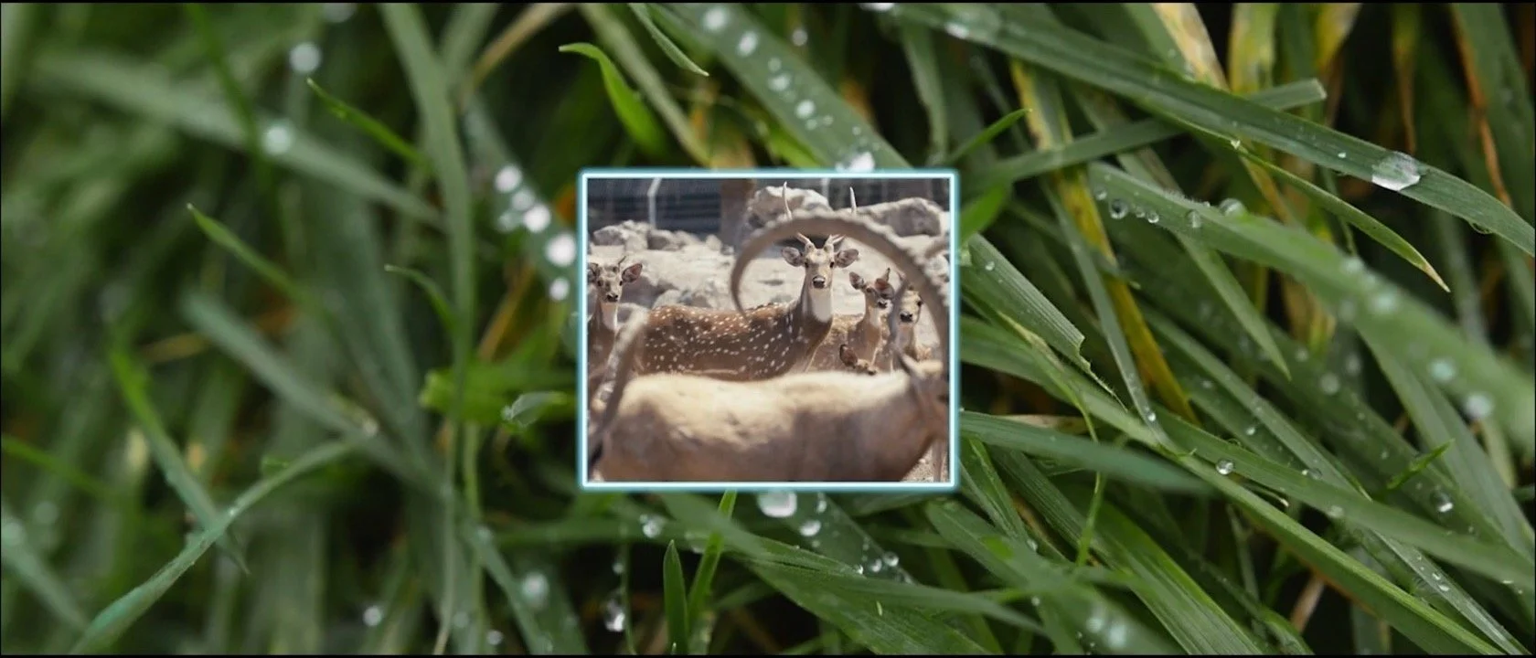 Screen Shot 2022-02-10 at 5.13.48 PM.jpg