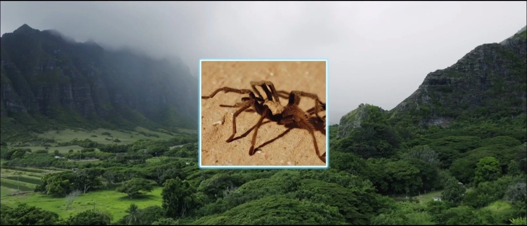 Screen Shot 2022-02-10 at 5.13.49 PM.jpg