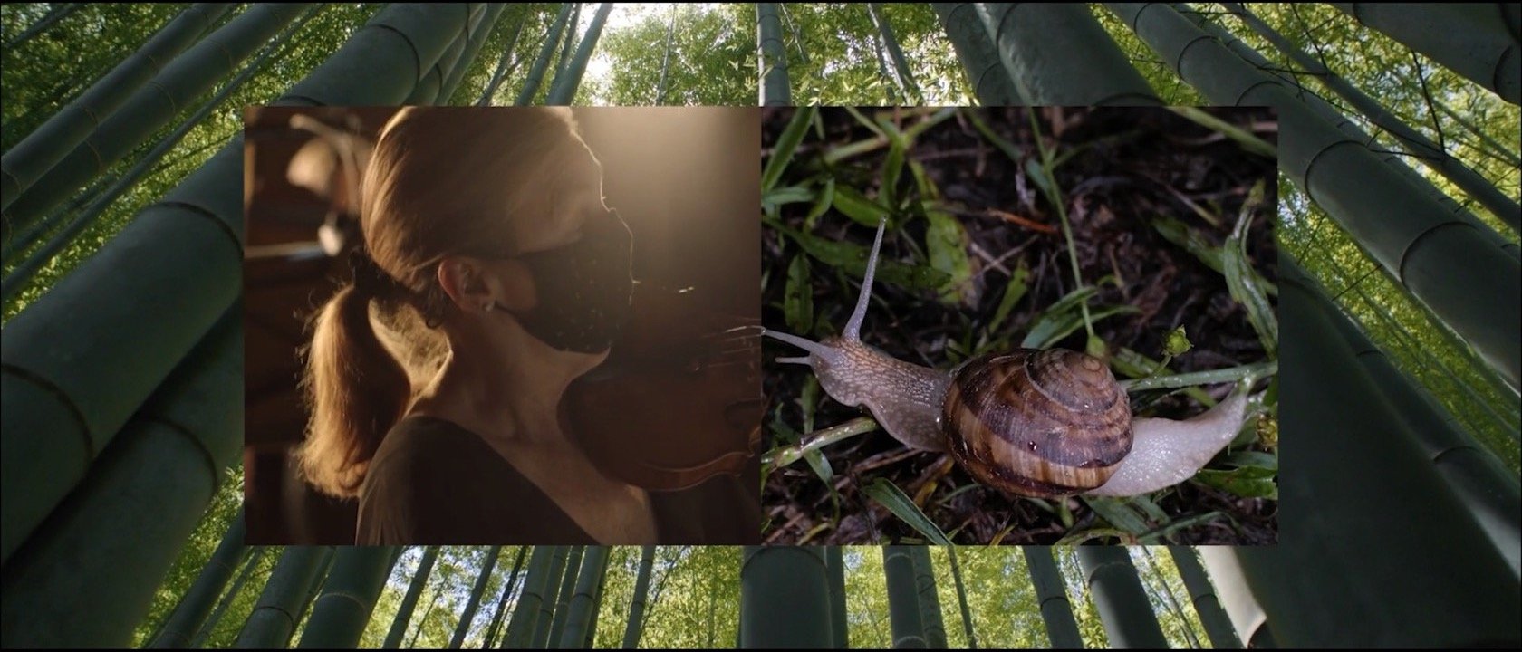 Screen Shot 2022-02-10 at 5.14.06 PM.jpg