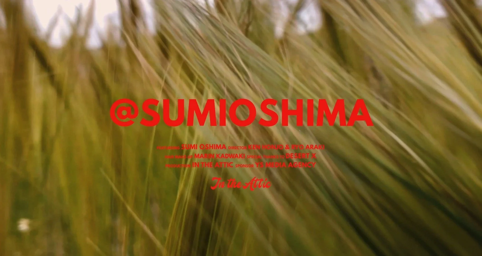 Screen Shot 2022-02-13 at 8.12.38 PM.jpg