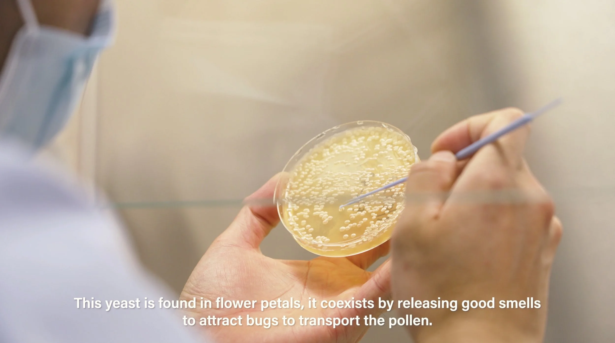 Screen Shot 2022-08-11 at 8.39.05 PM.jpg